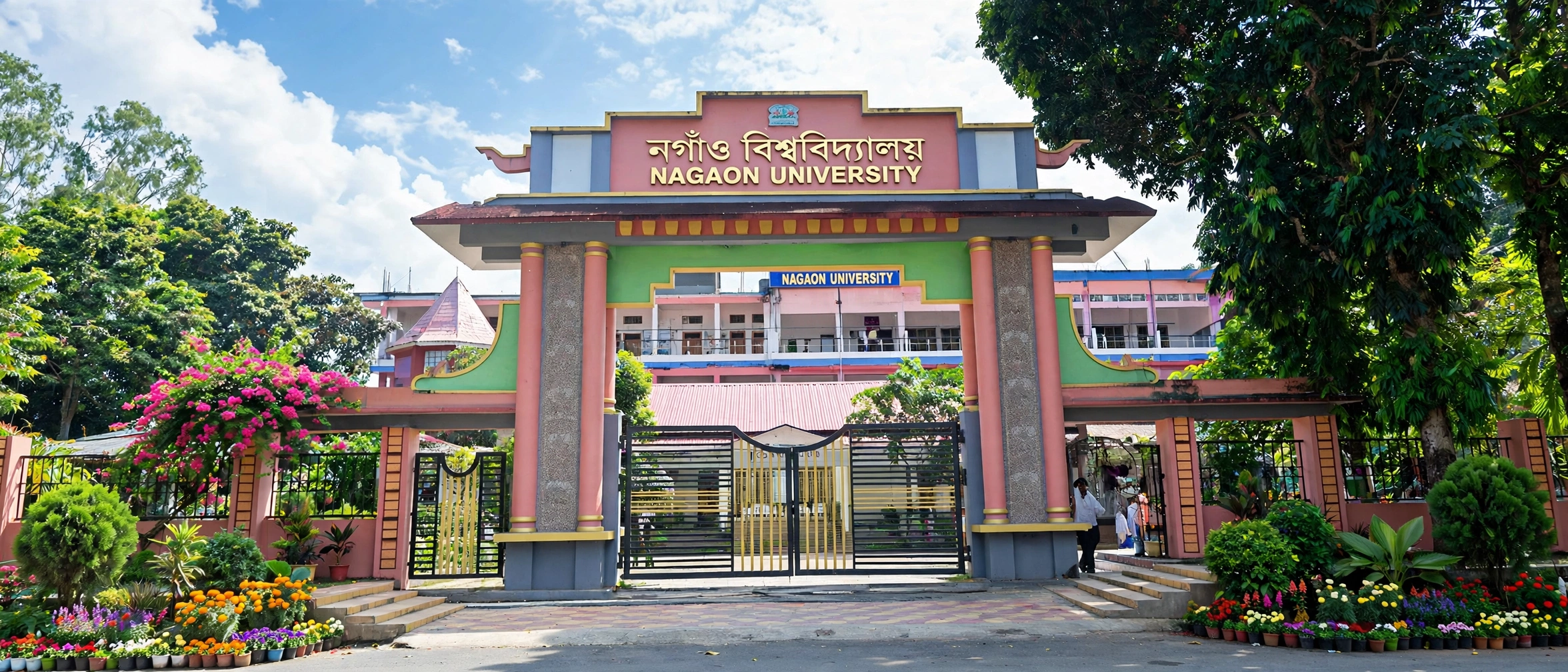 Nagaon University