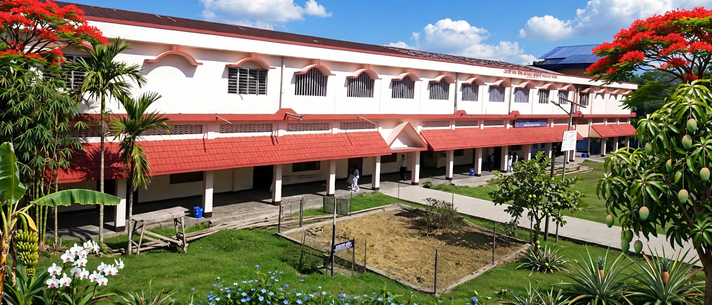 Tinsukia College