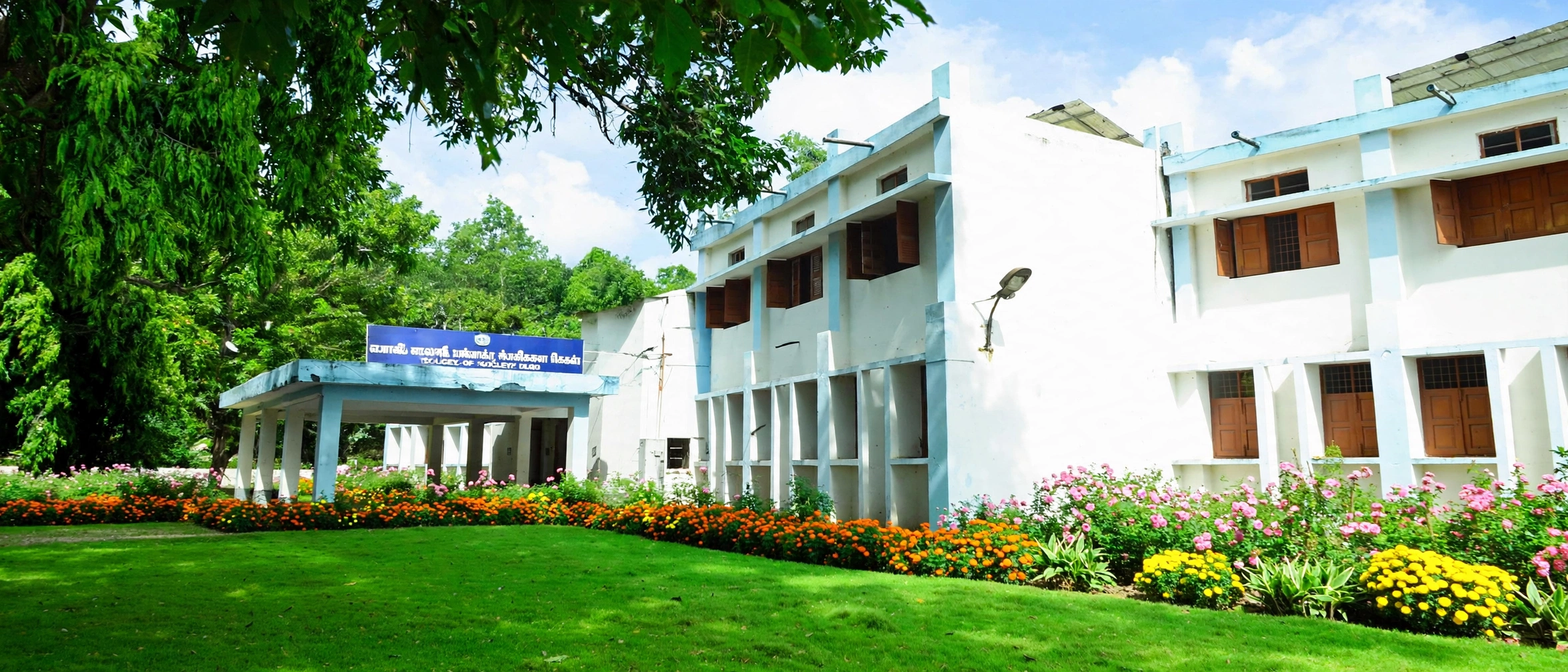 Government Danteshwari Girls Post Graduate College